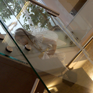 DSC01489.jpg