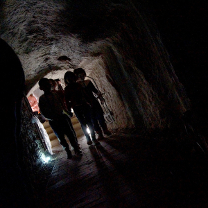 DSC08596.jpg