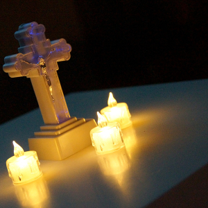 DSC08823.jpg